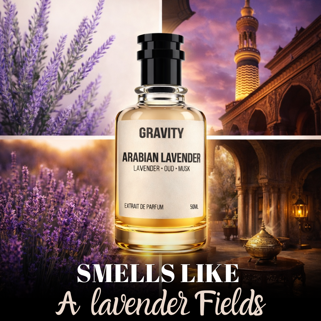 ARABIAN LAVENDER